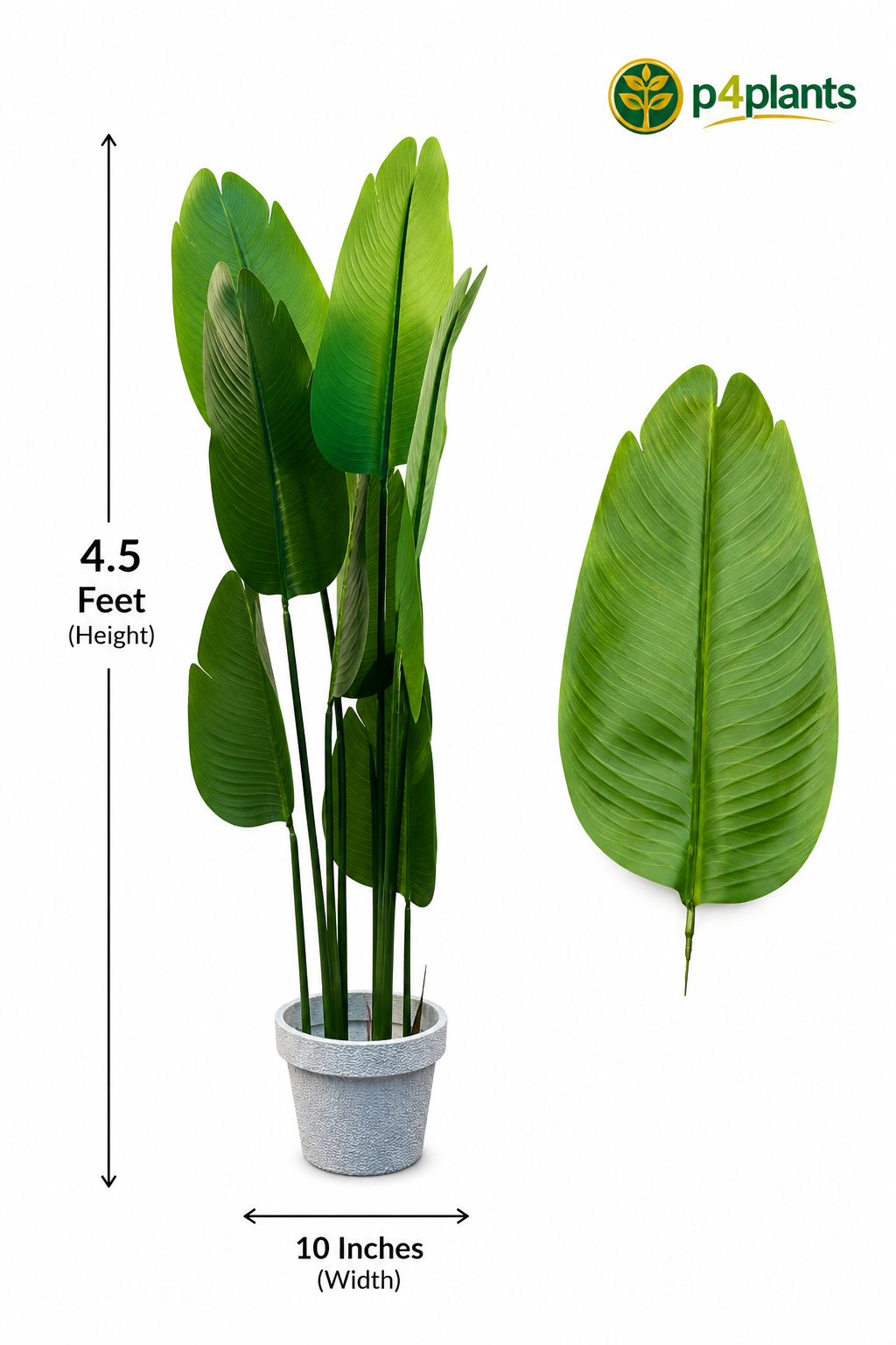 Artificial Bird of Paradise Plant
