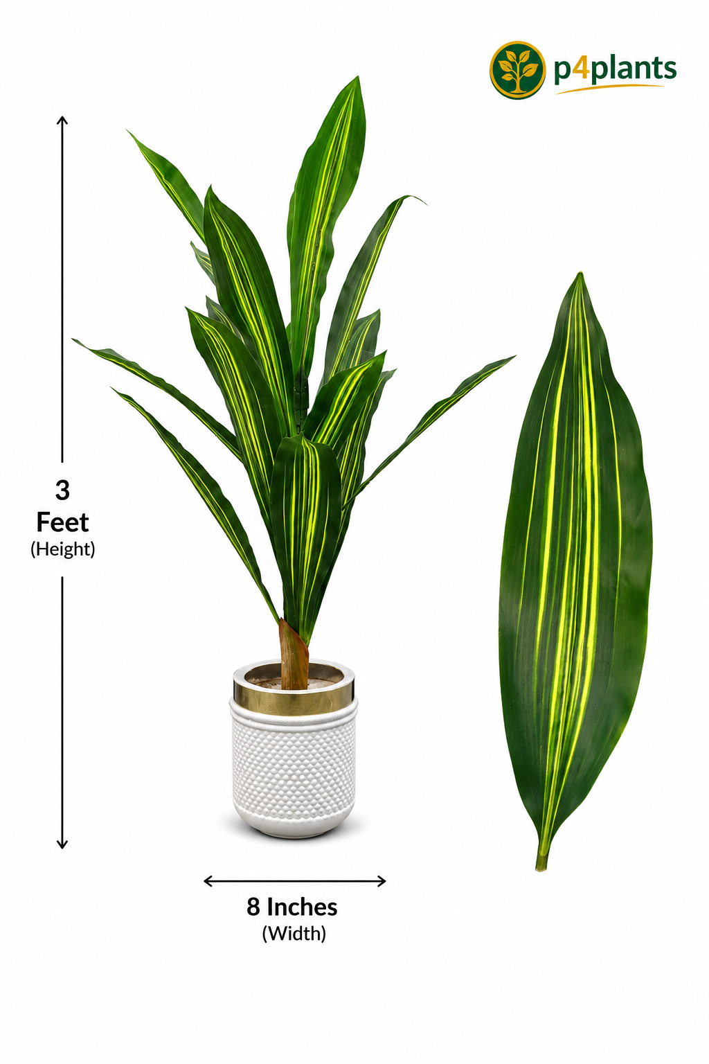Artificial Dracaena Plant