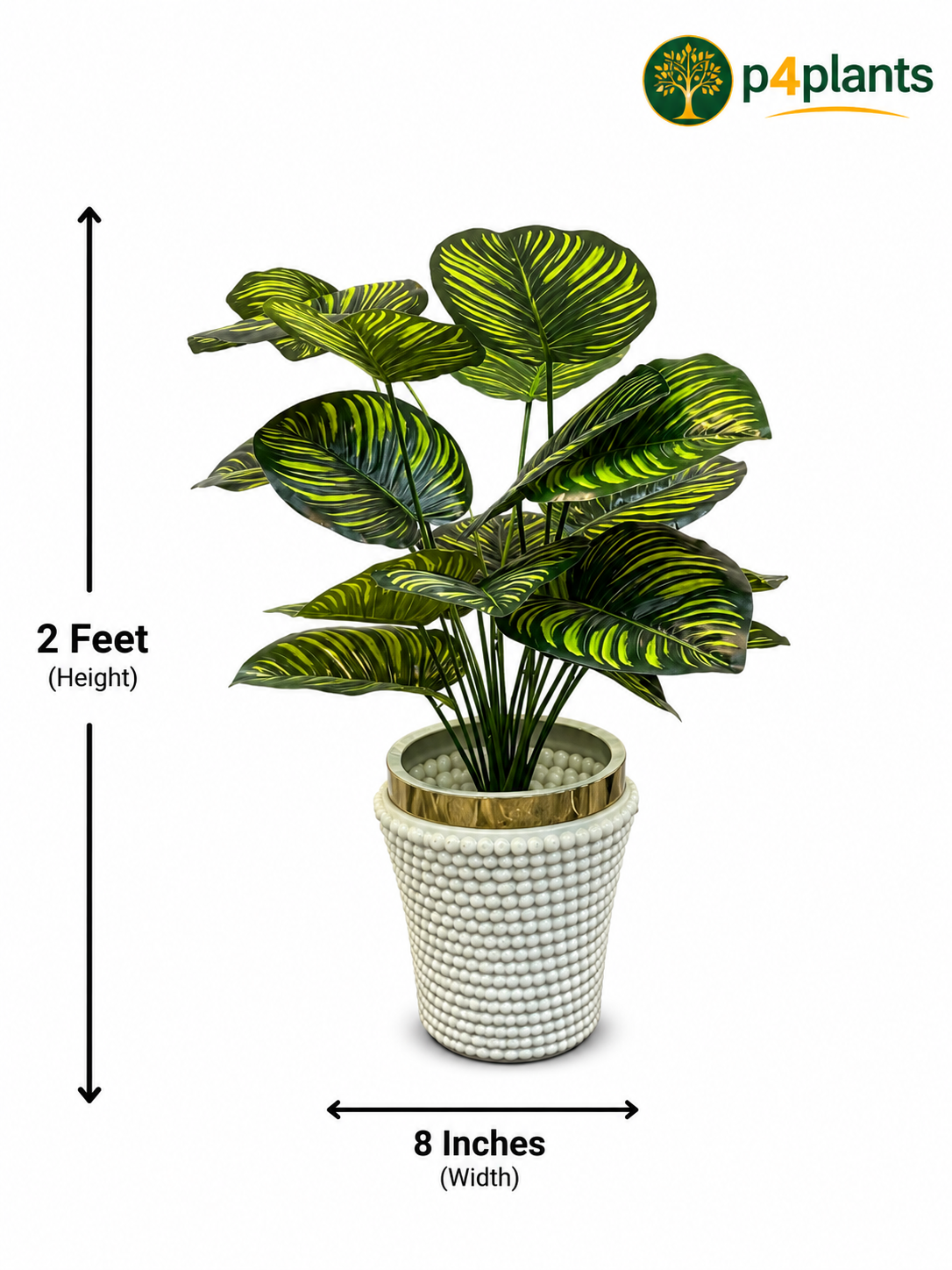 Artificial Calathea Orbifolia Plant