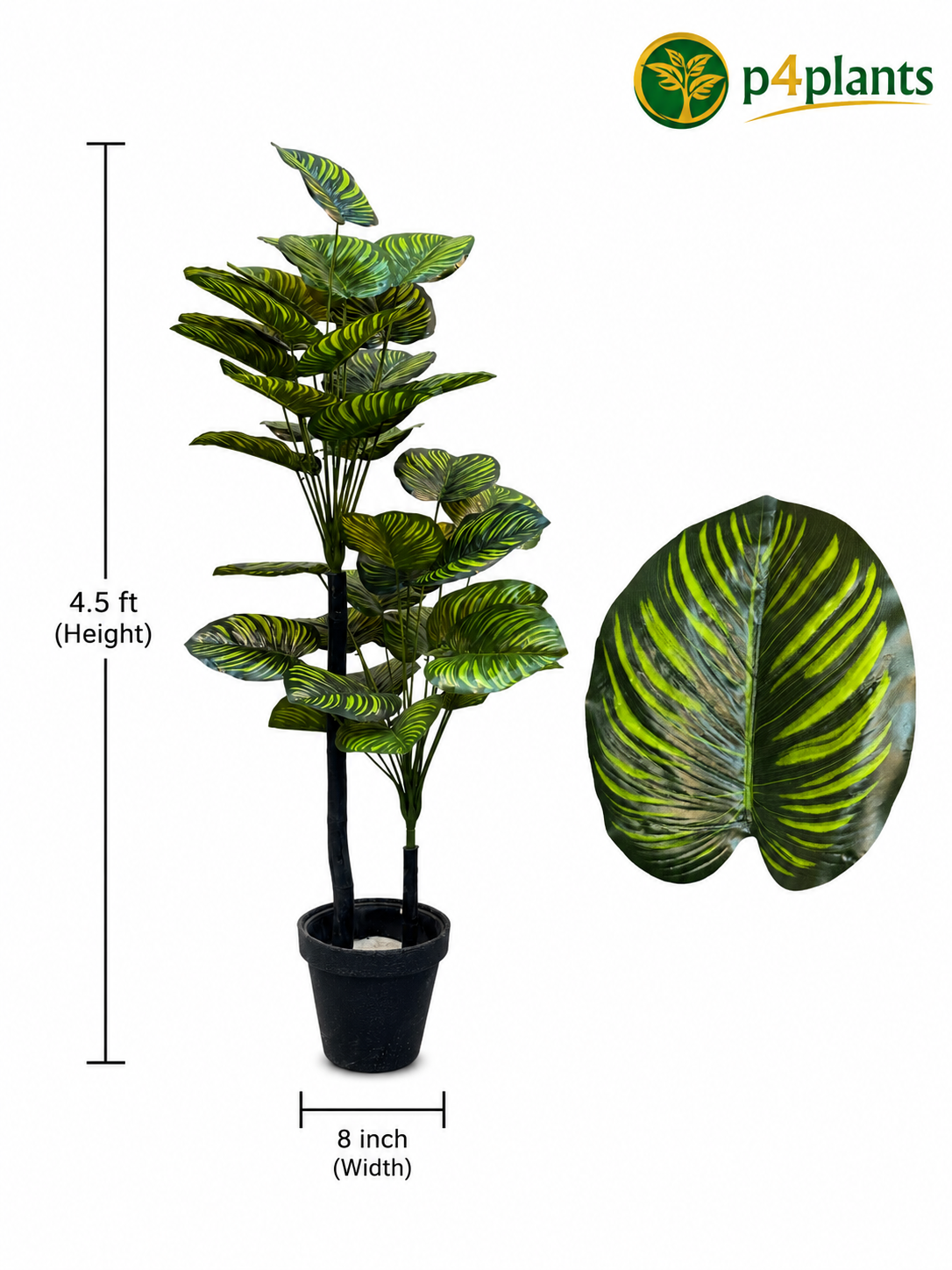 Artificial Calathea Plant