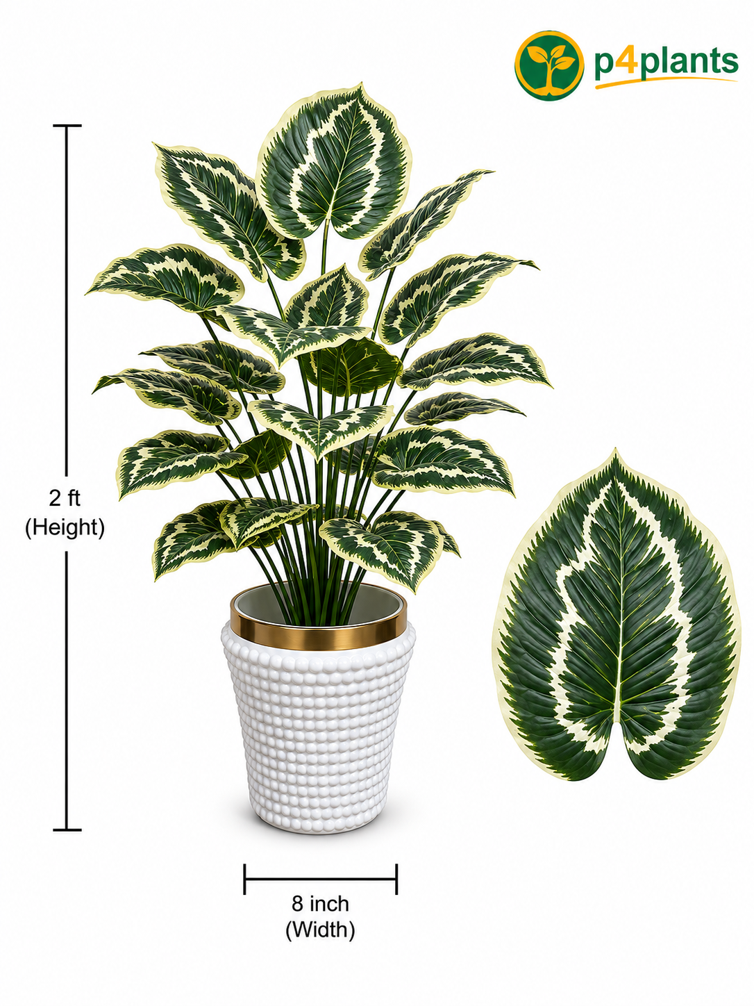Artificial Calathea Warscewiczii Plant