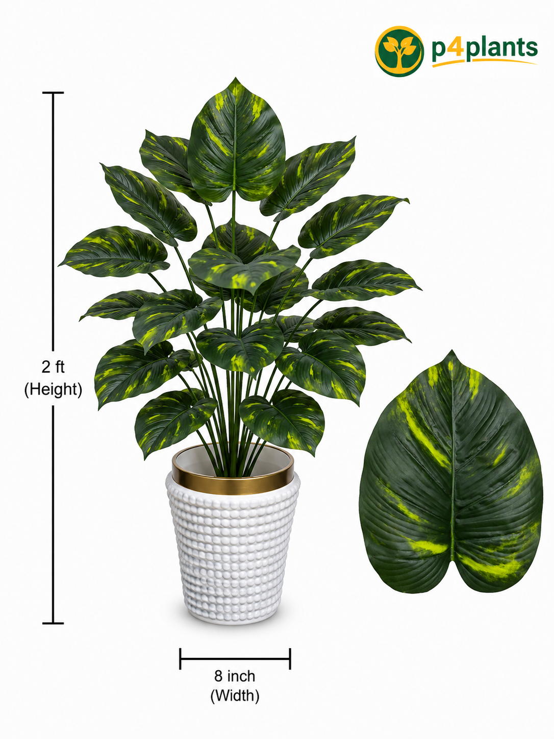 Artificial Calathea Makoyana Plant