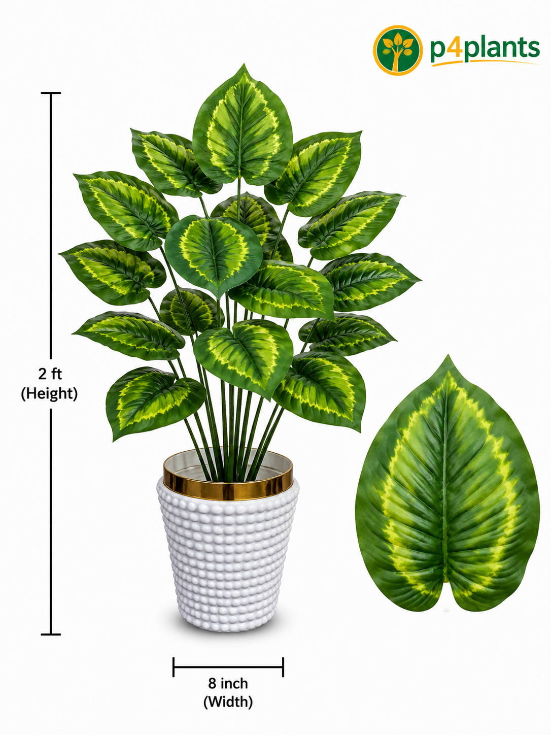 Artificial Dieffenbachia Plant