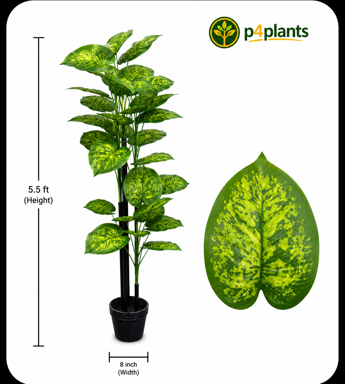 Artificial Dieffenbachia Tall Tree