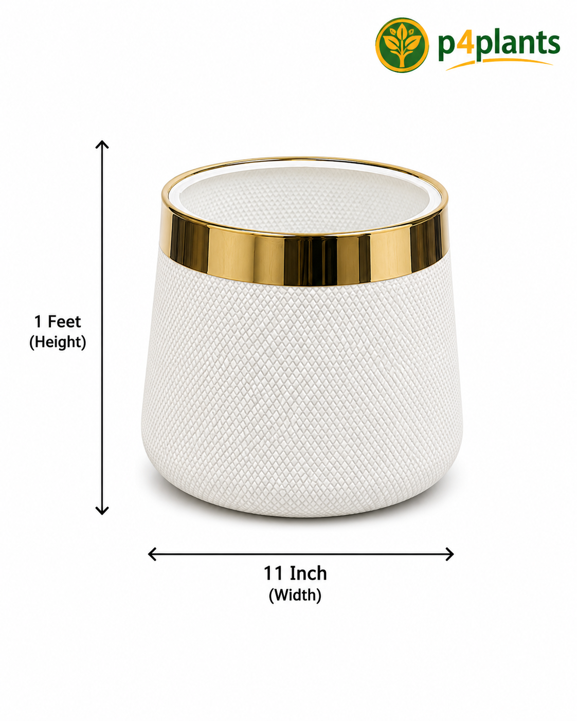 White Hobnail Planter with Gold Rim